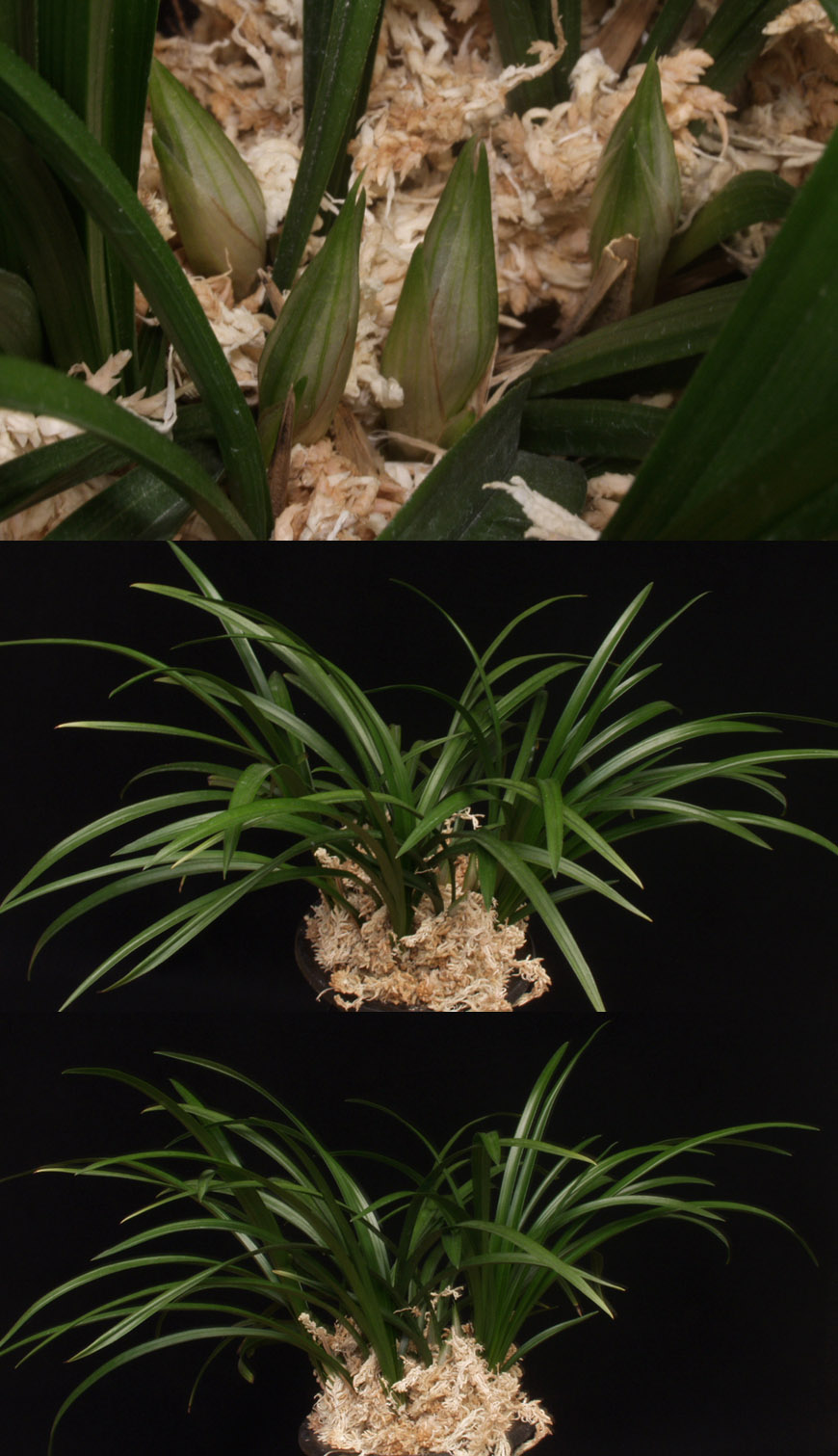 ������ ū������ �� �� �ֽ��ϴ�.