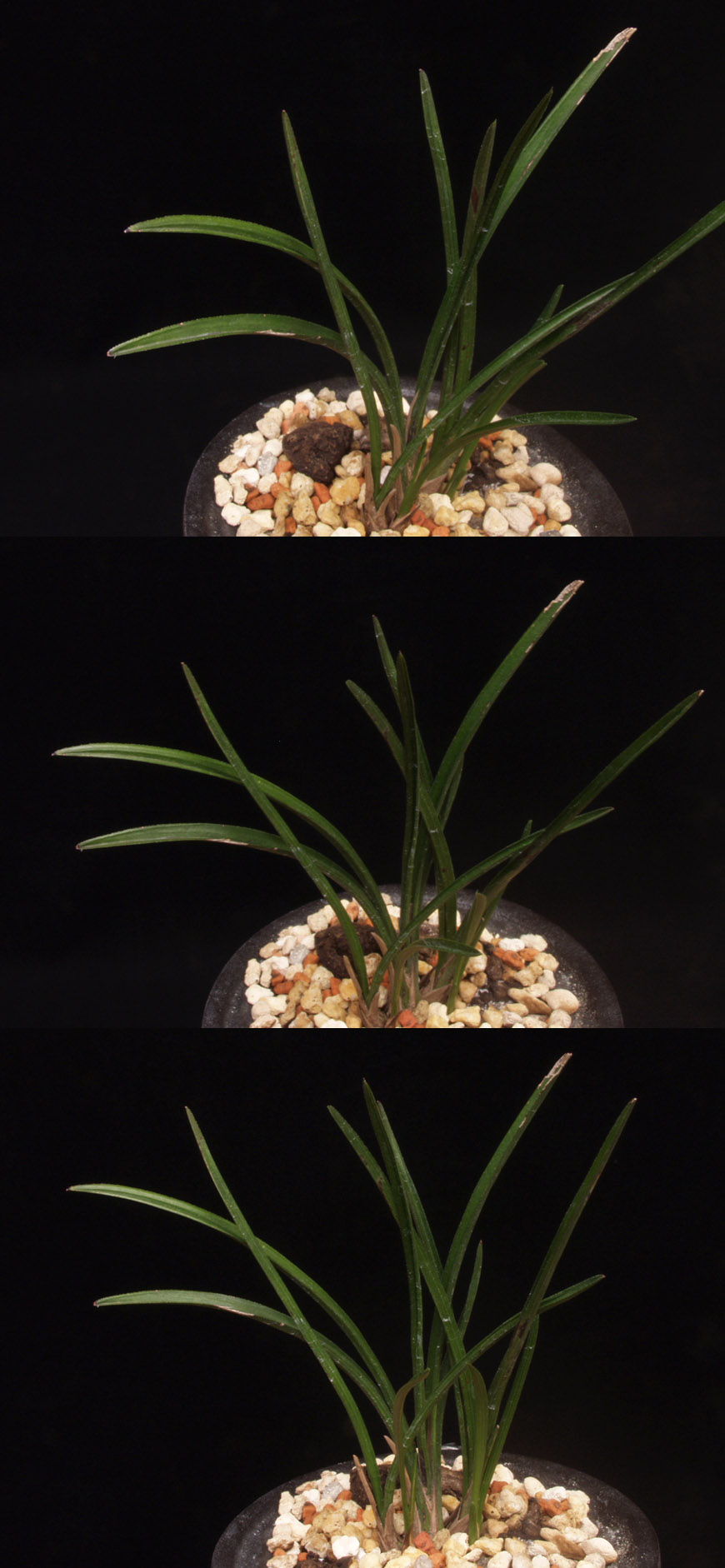 ������ ū������ �� �� �ֽ��ϴ�.