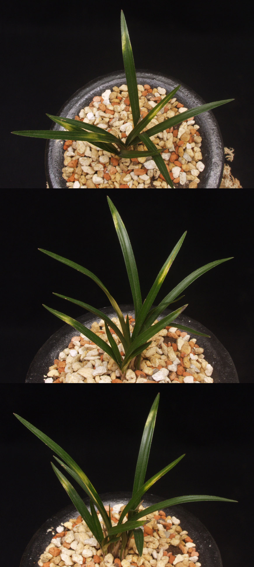 ������ ū������ �� �� �ֽ��ϴ�.