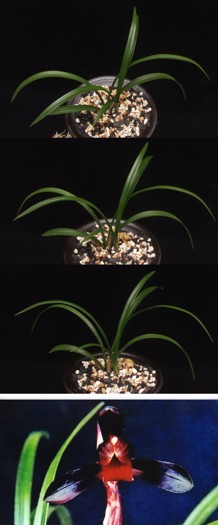 ������ ū������ �� �� �ֽ��ϴ�.