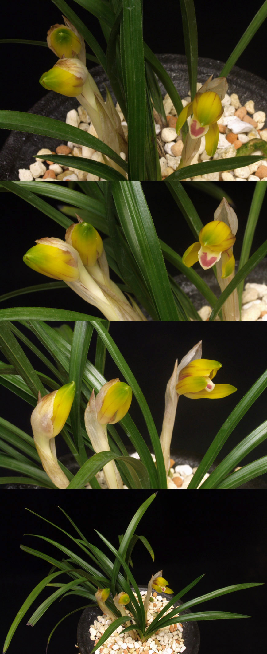 ������ ū������ �� �� �ֽ��ϴ�.