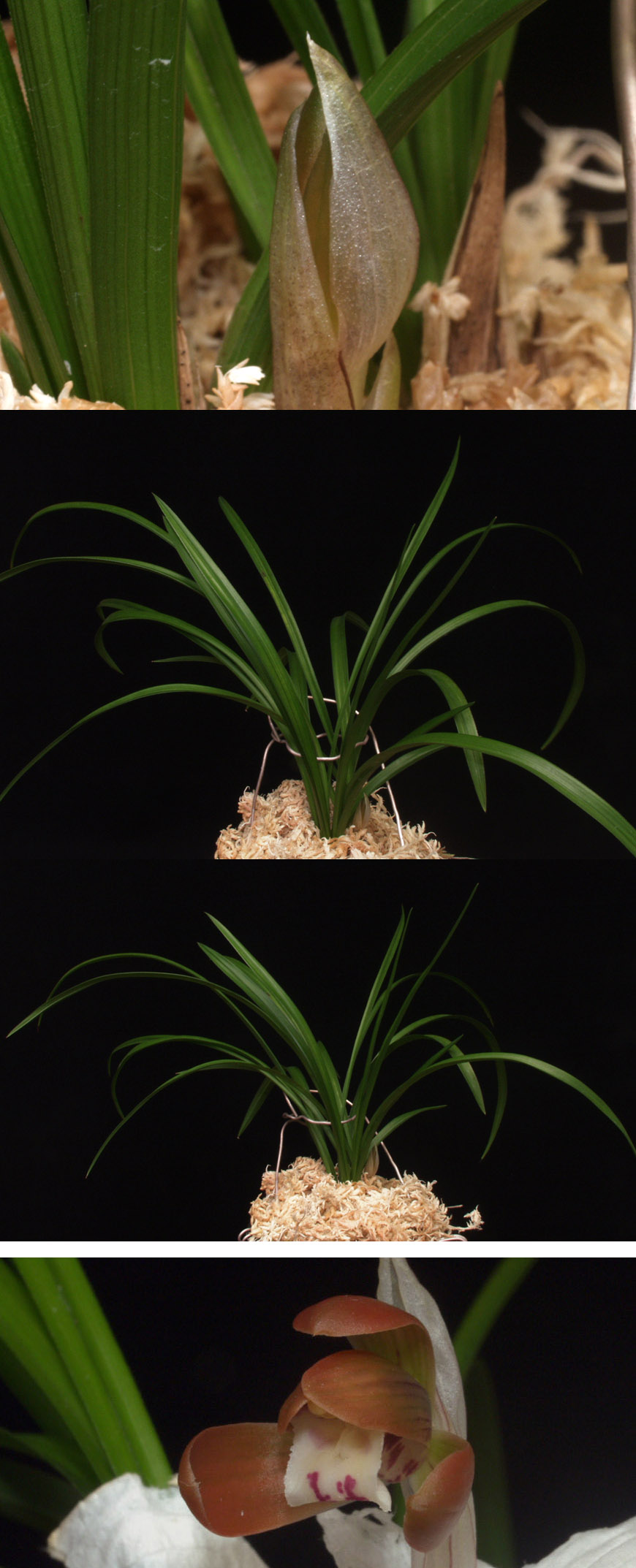 ������ ū������ �� �� �ֽ��ϴ�.