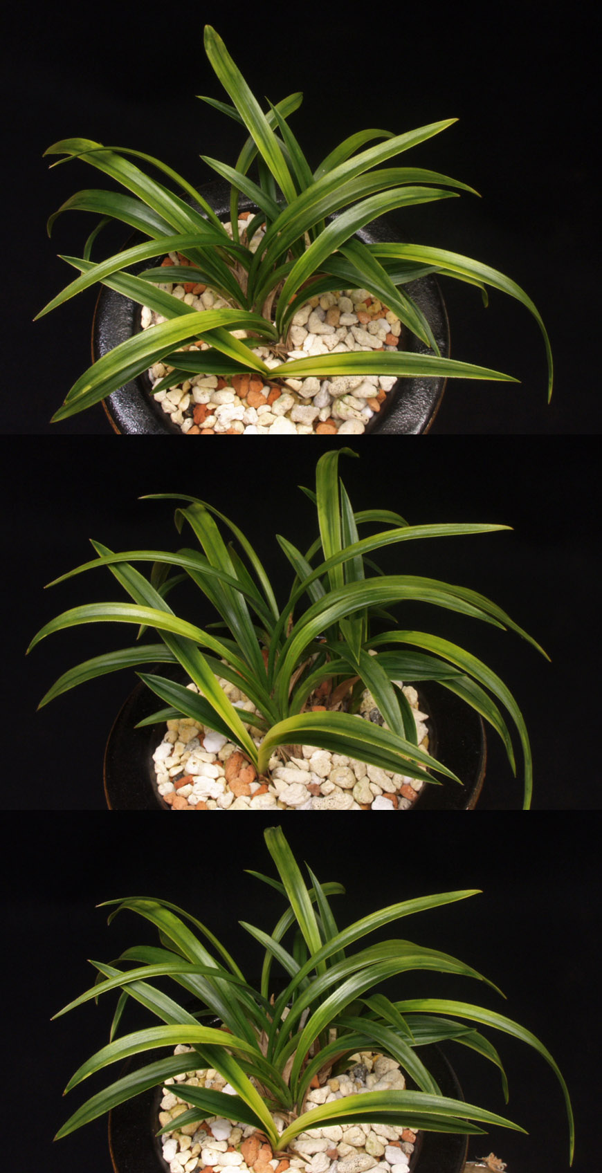 ������ ū������ �� �� �ֽ��ϴ�.