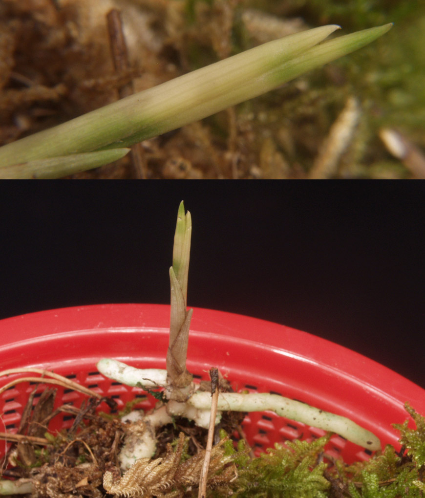 ������ ū������ �� �� �ֽ��ϴ�.