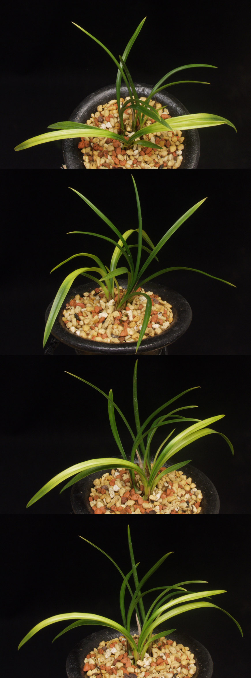 ������ ū������ �� �� �ֽ��ϴ�.