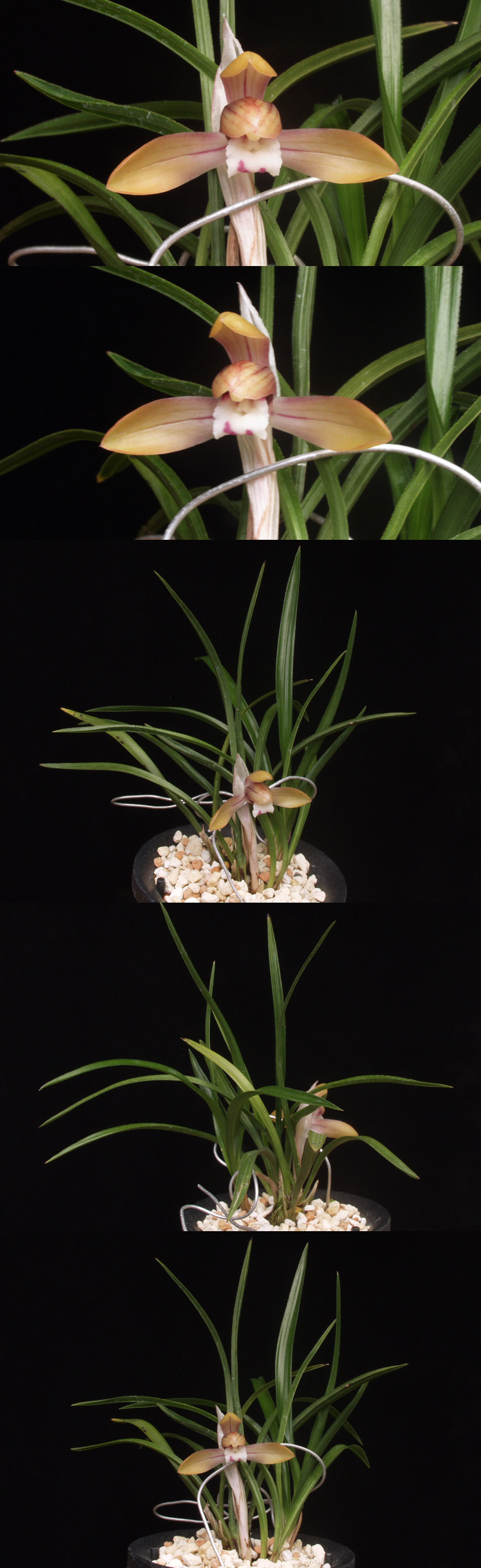 ������ ū������ �� �� �ֽ��ϴ�.