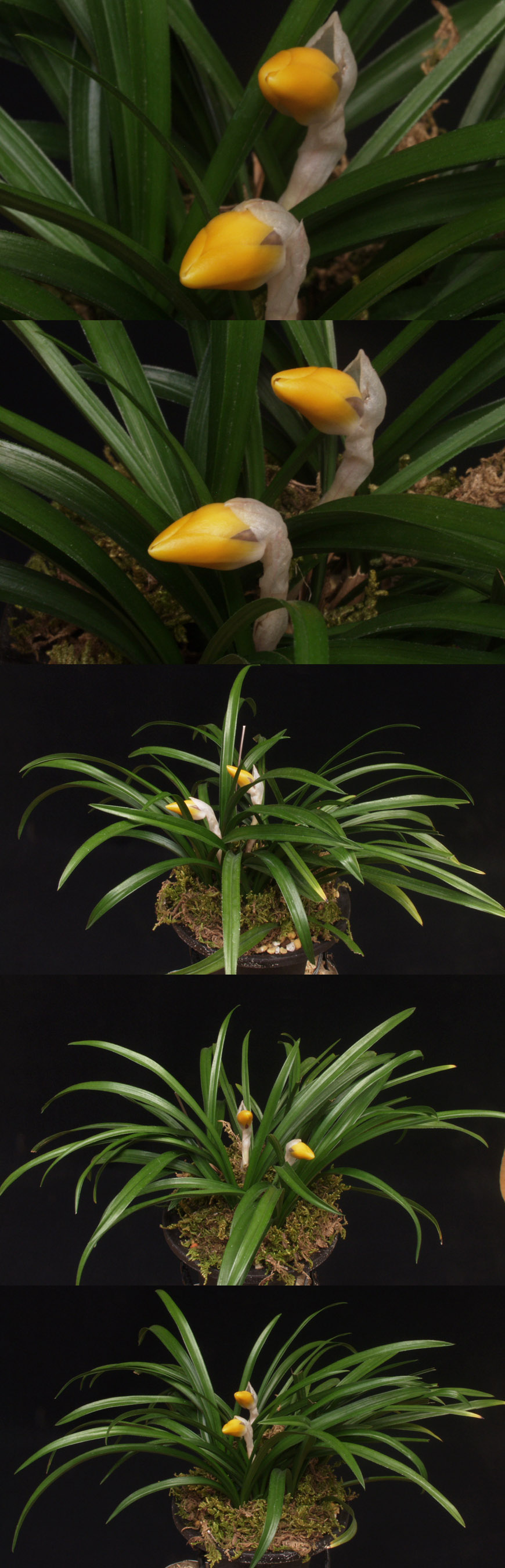 ������ ū������ �� �� �ֽ��ϴ�.