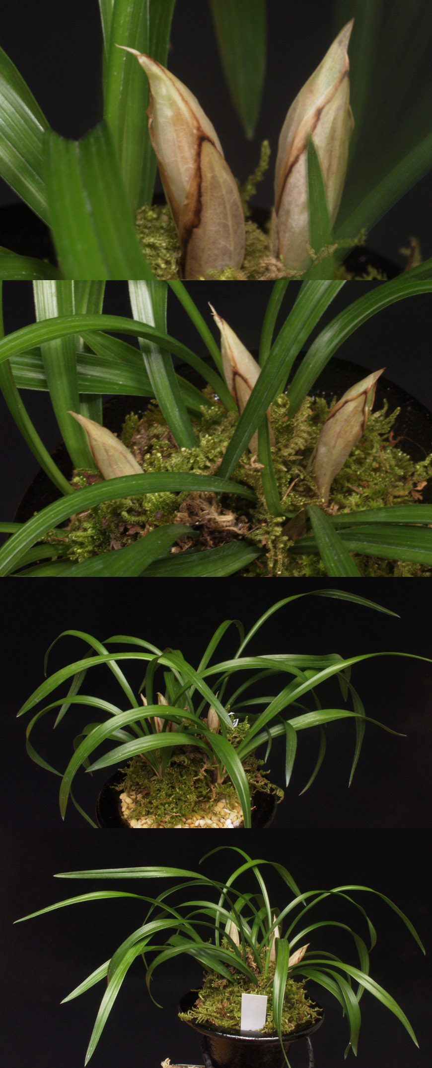 ������ ū������ �� �� �ֽ��ϴ�.