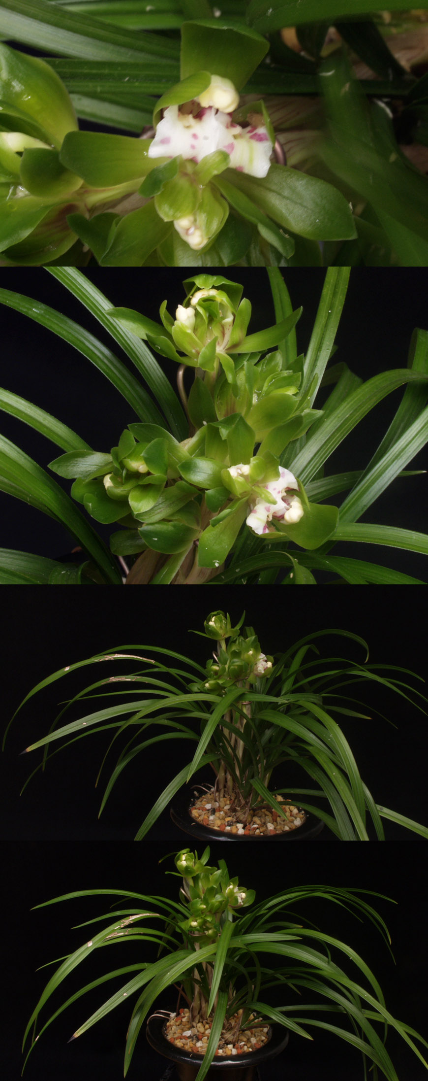 ������ ū������ �� �� �ֽ��ϴ�.