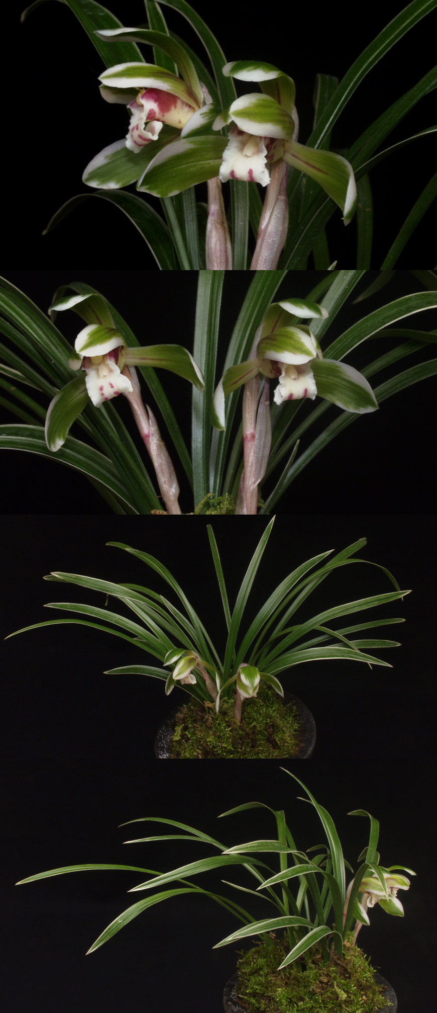 ������ ū������ �� �� �ֽ��ϴ�.