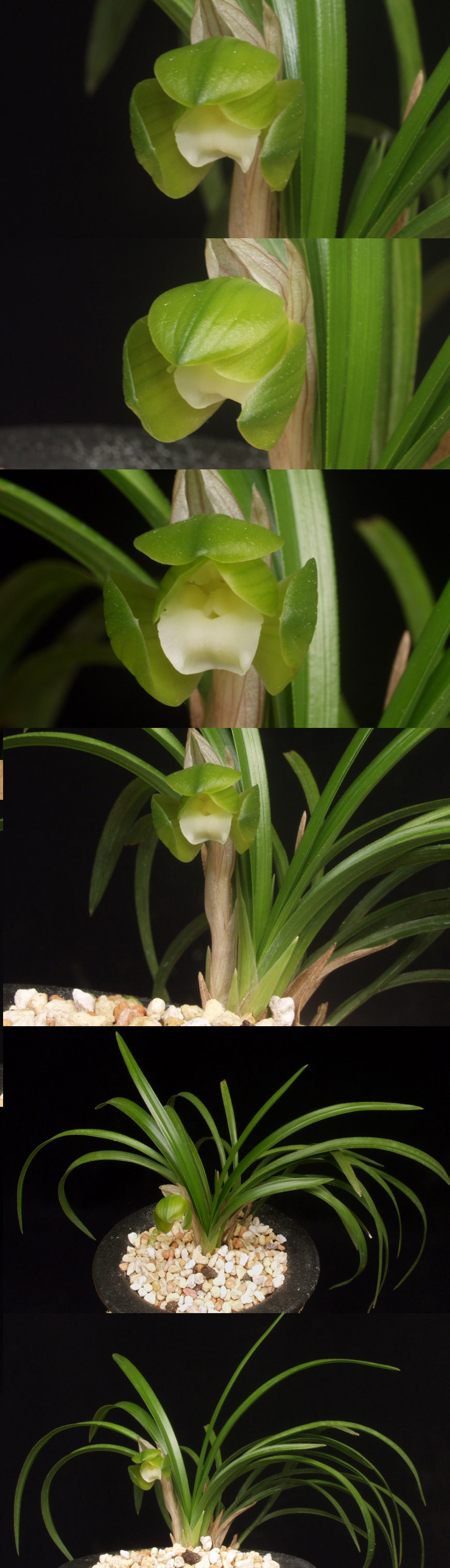 ������ ū������ �� �� �ֽ��ϴ�.