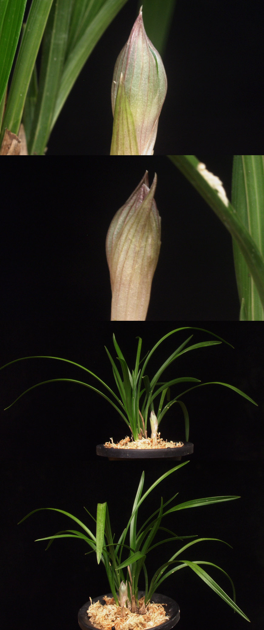 ������ ū������ �� �� �ֽ��ϴ�.