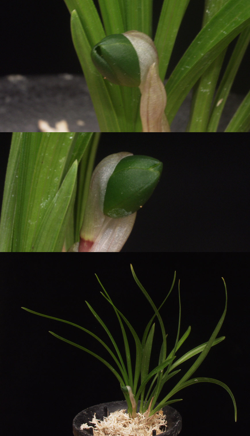 ������ ū������ �� �� �ֽ��ϴ�.