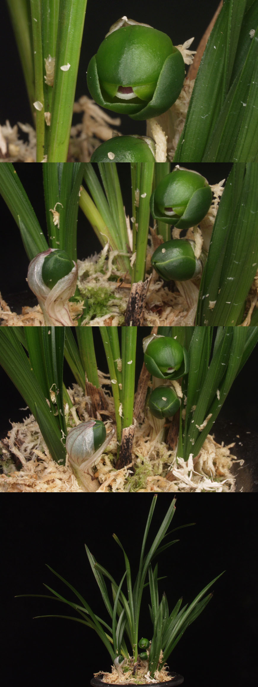 ������ ū������ �� �� �ֽ��ϴ�.