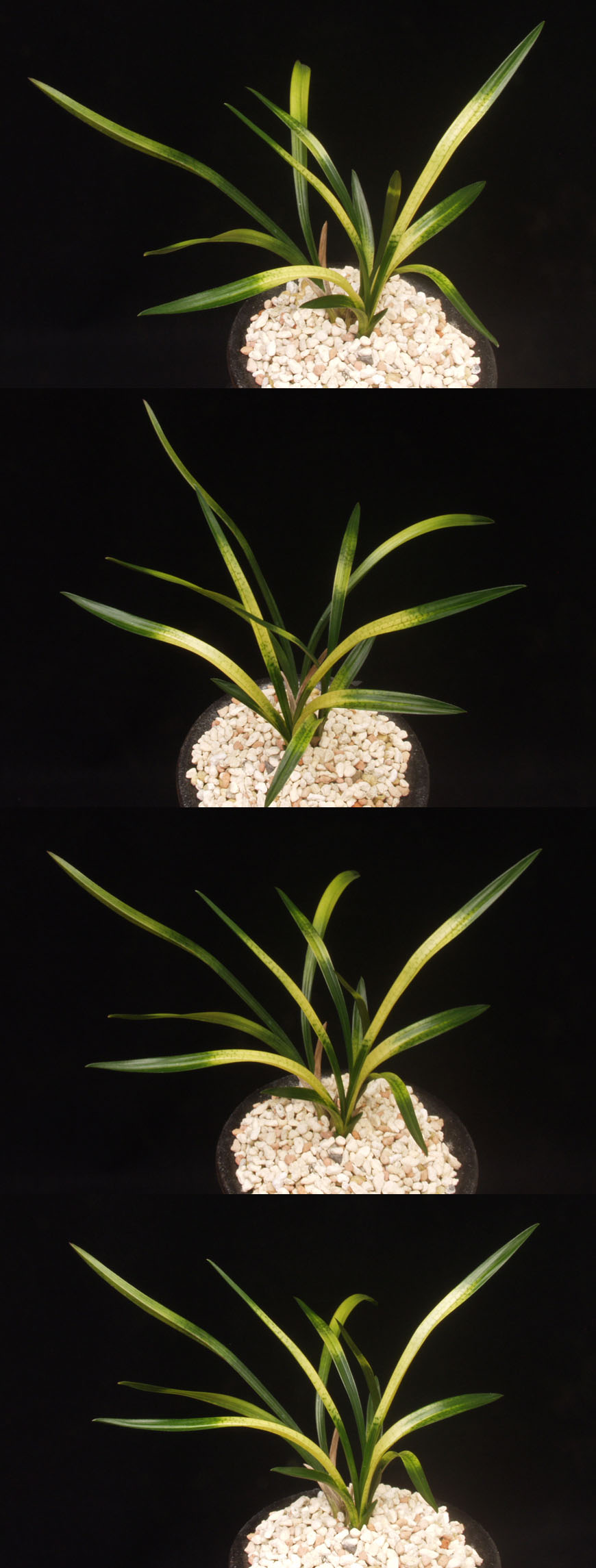 ������ ū������ �� �� �ֽ��ϴ�.