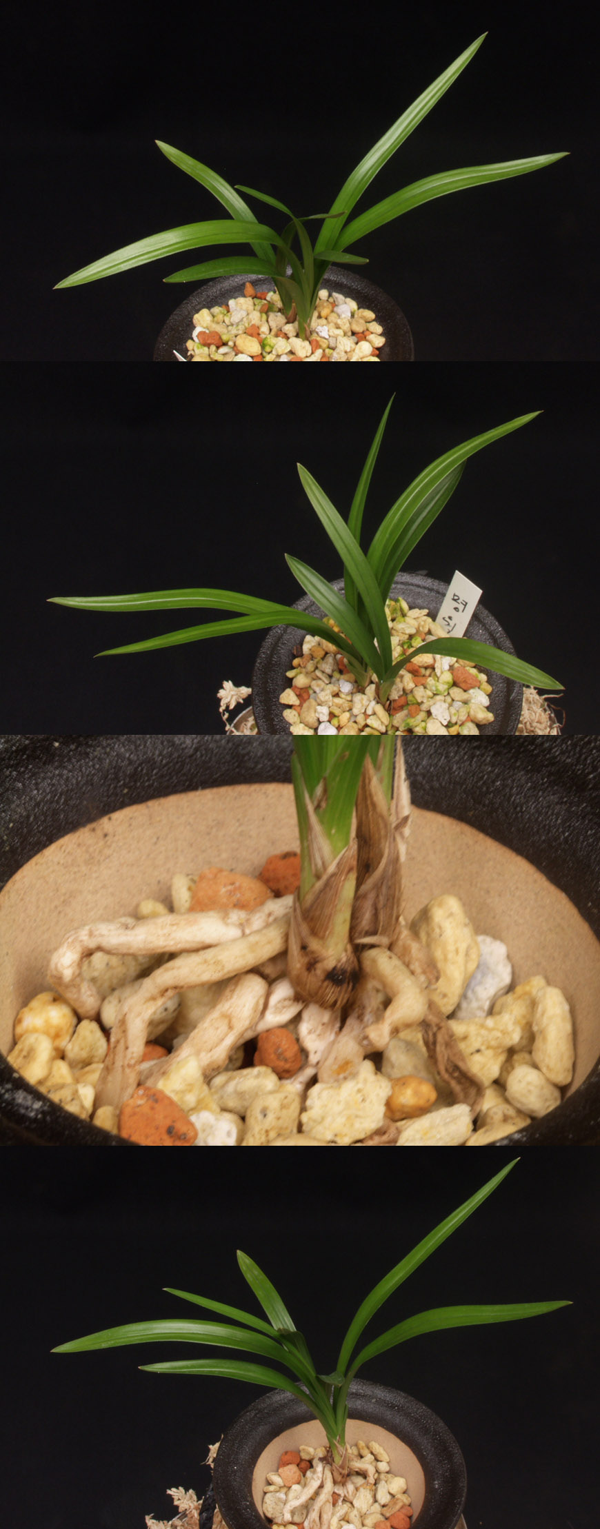 ������ ū������ �� �� �ֽ��ϴ�.