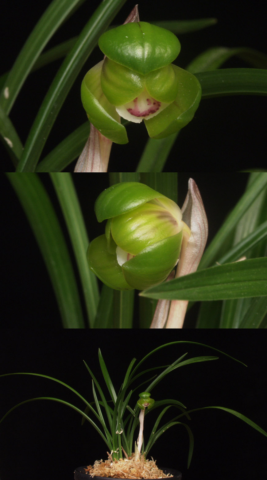 ������ ū������ �� �� �ֽ��ϴ�.