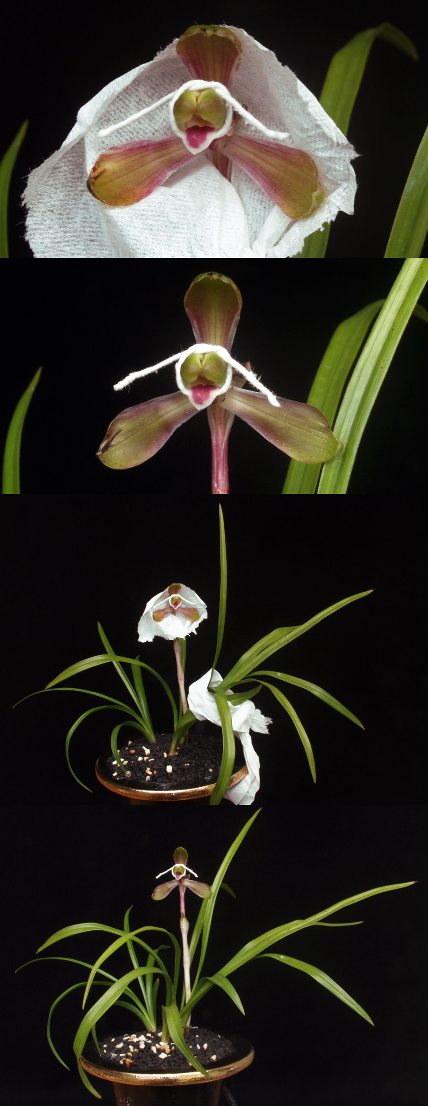 ������ ū������ �� �� �ֽ��ϴ�.