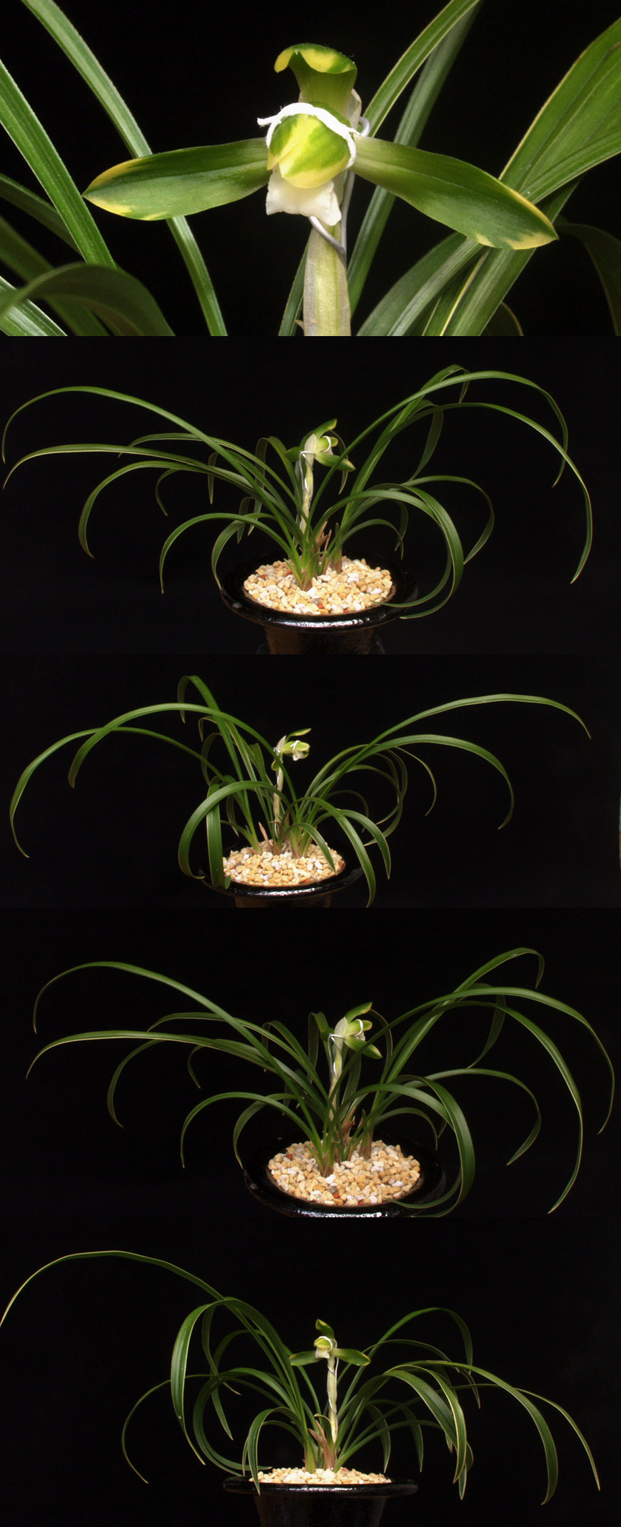 ������ ū������ �� �� �ֽ��ϴ�.