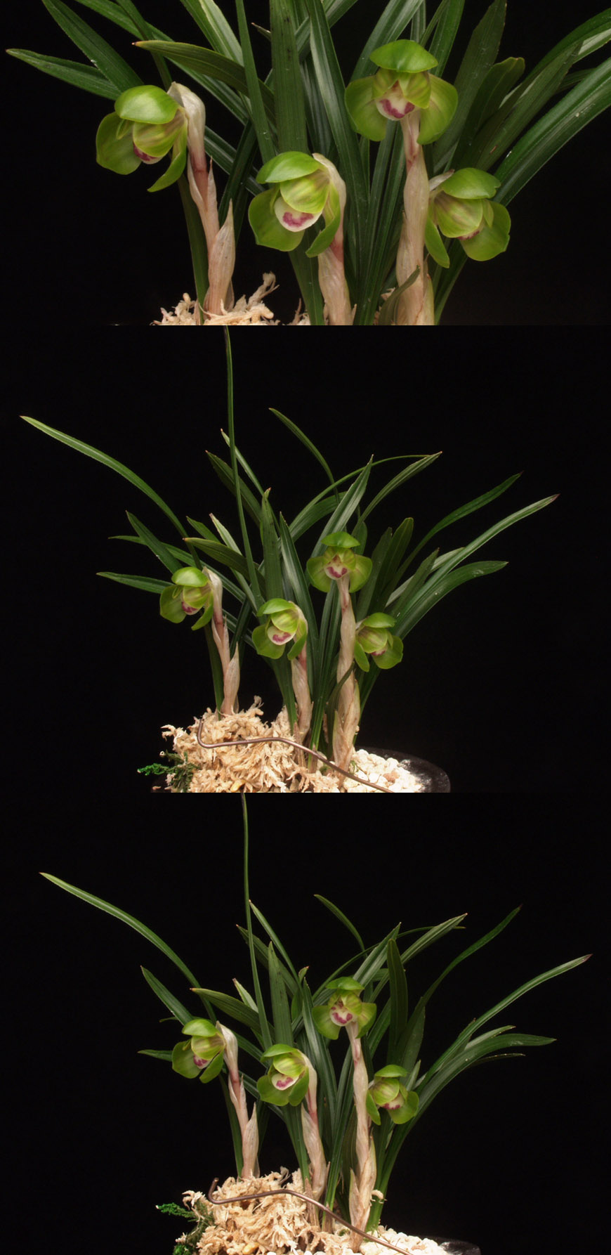 ������ ū������ �� �� �ֽ��ϴ�.