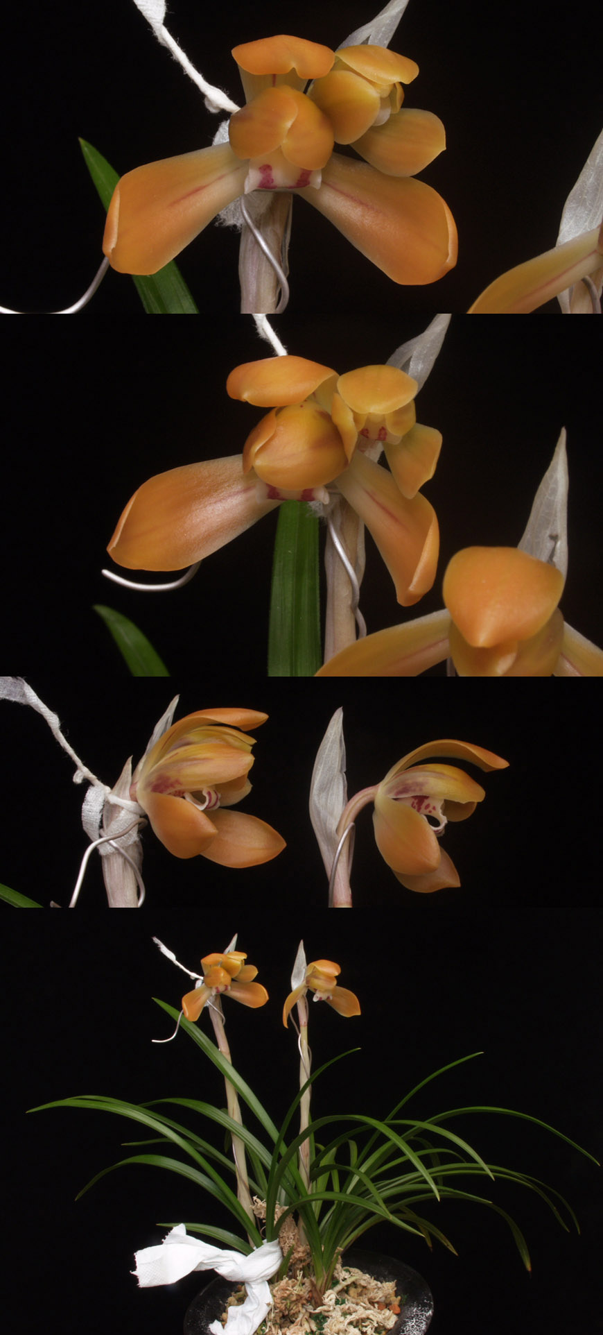 ������ ū������ �� �� �ֽ��ϴ�.