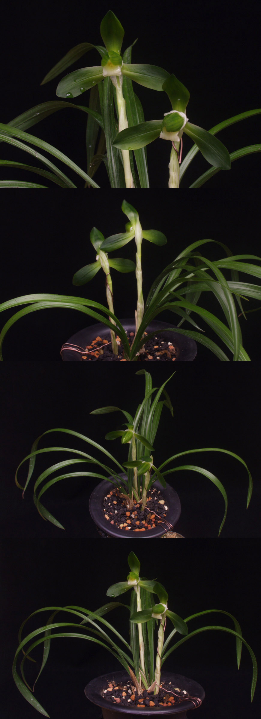 ������ ū������ �� �� �ֽ��ϴ�.