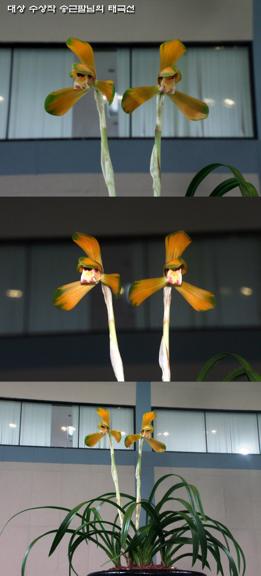 ������ ū������ �� �� �ֽ��ϴ�.