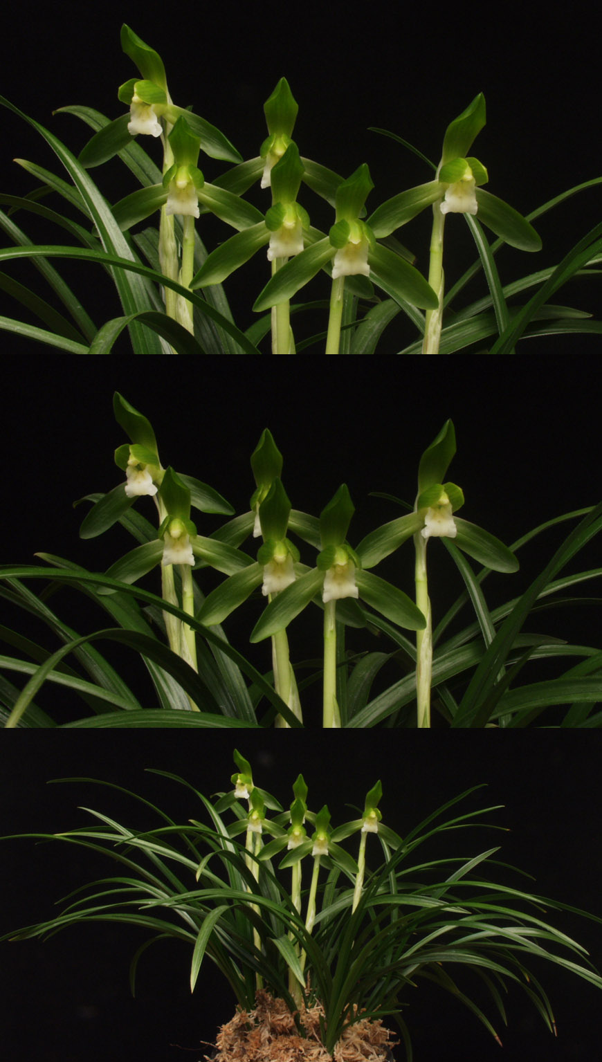 ������ ū������ �� �� �ֽ��ϴ�.