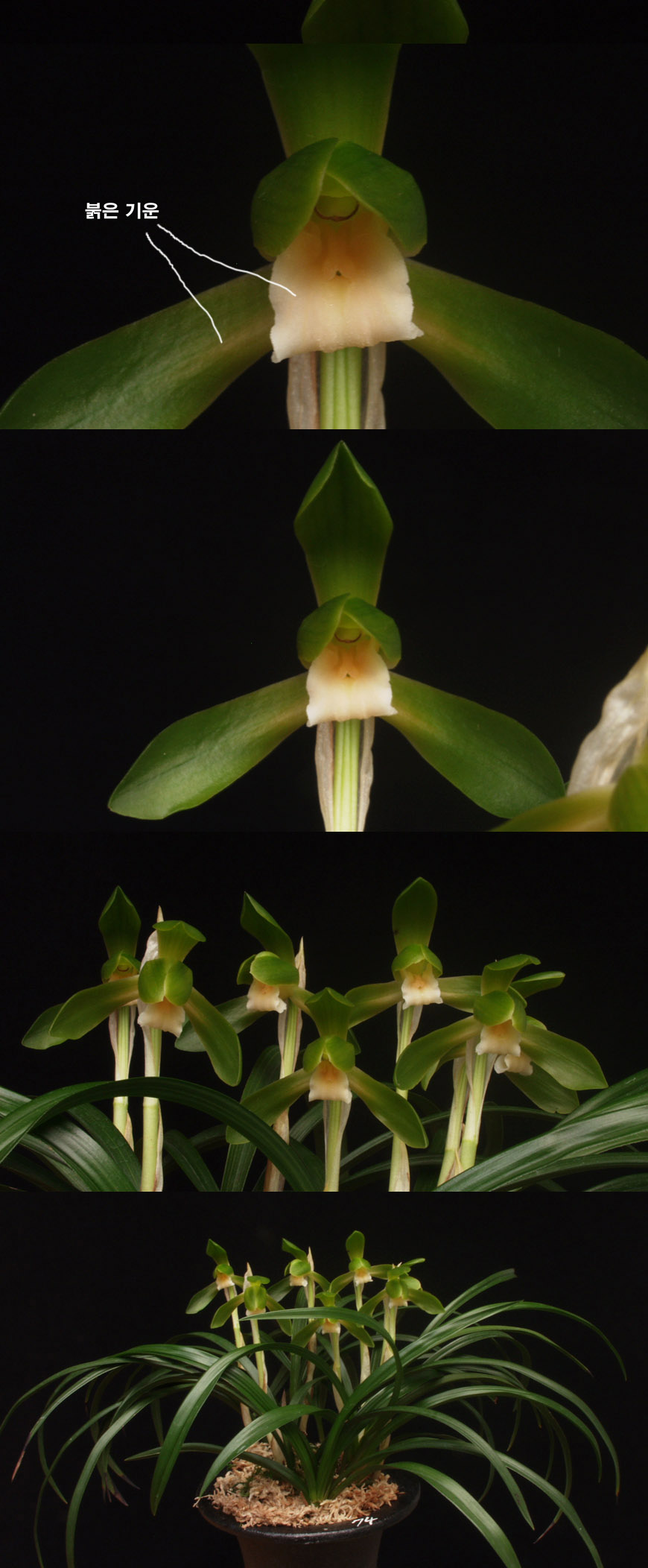 ������ ū������ �� �� �ֽ��ϴ�.