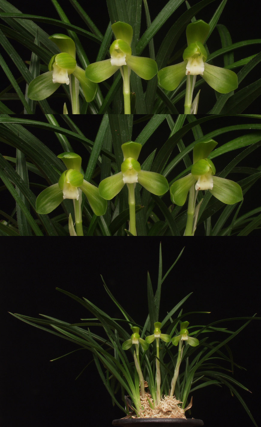 ������ ū������ �� �� �ֽ��ϴ�.