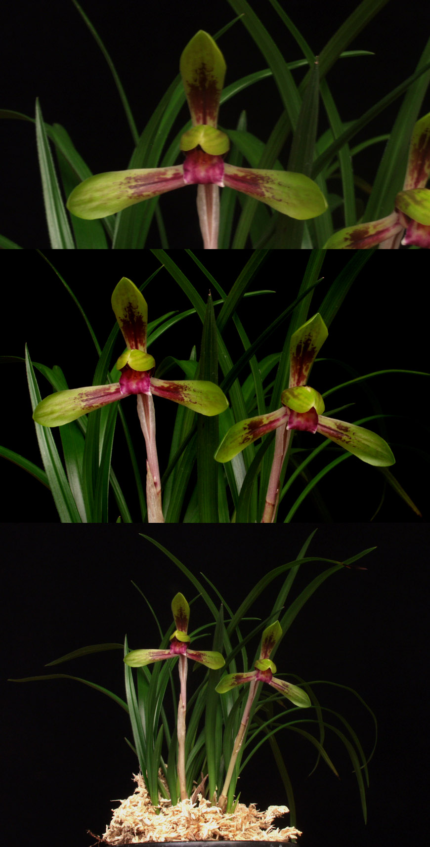 ������ ū������ �� �� �ֽ��ϴ�.