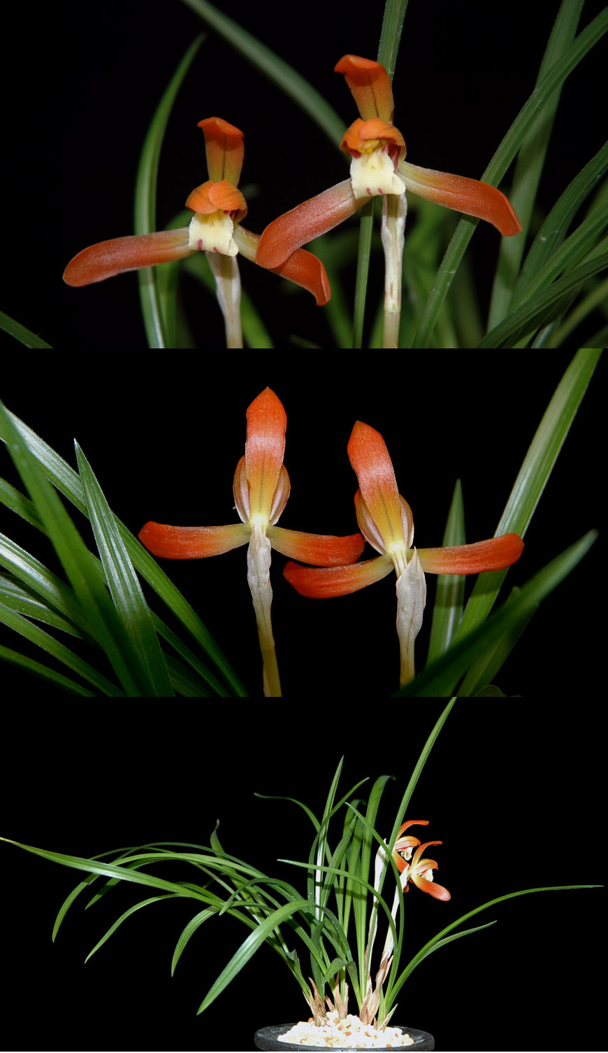 ������ ū������ �� �� �ֽ��ϴ�.