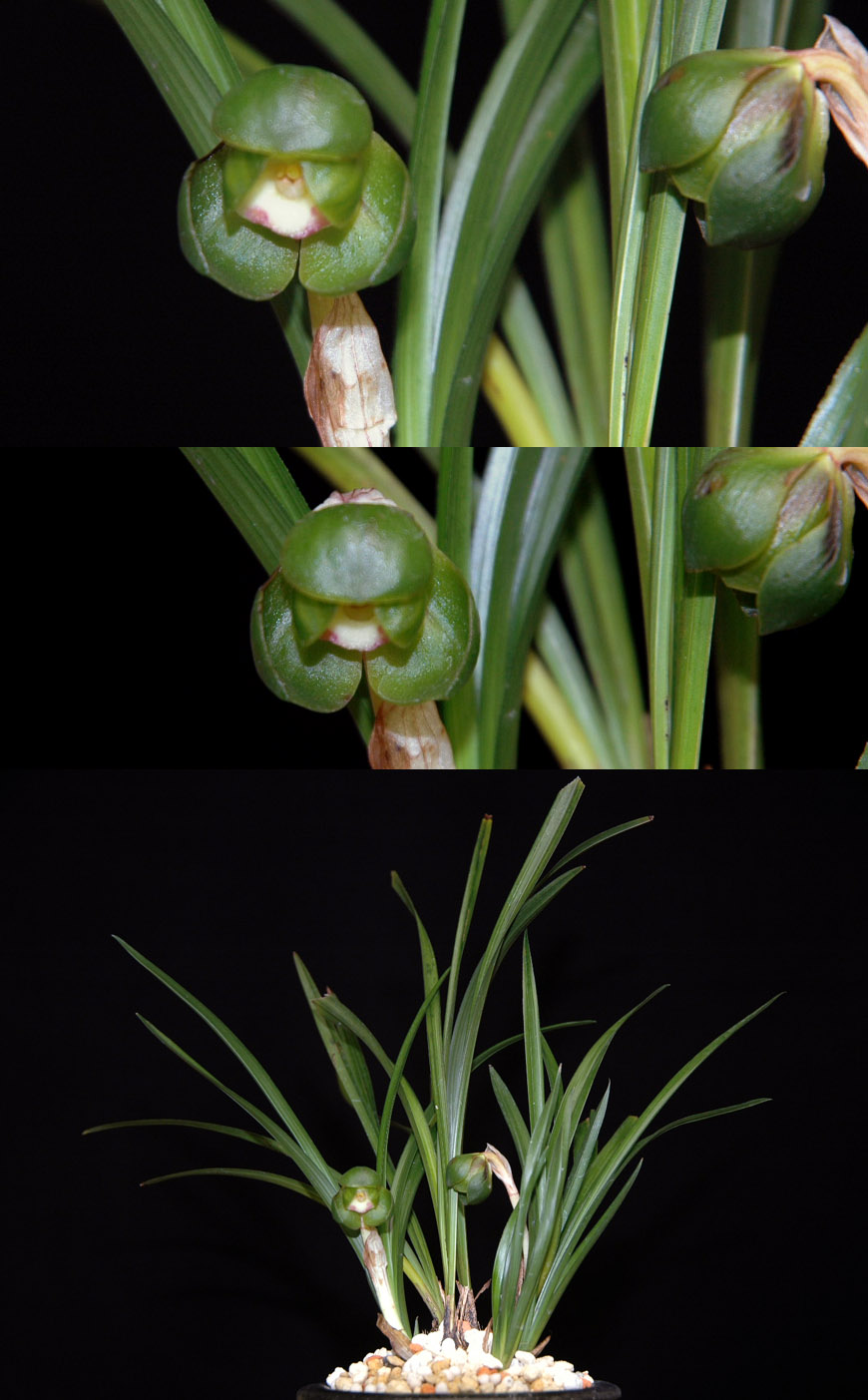 ������ ū������ �� �� �ֽ��ϴ�.