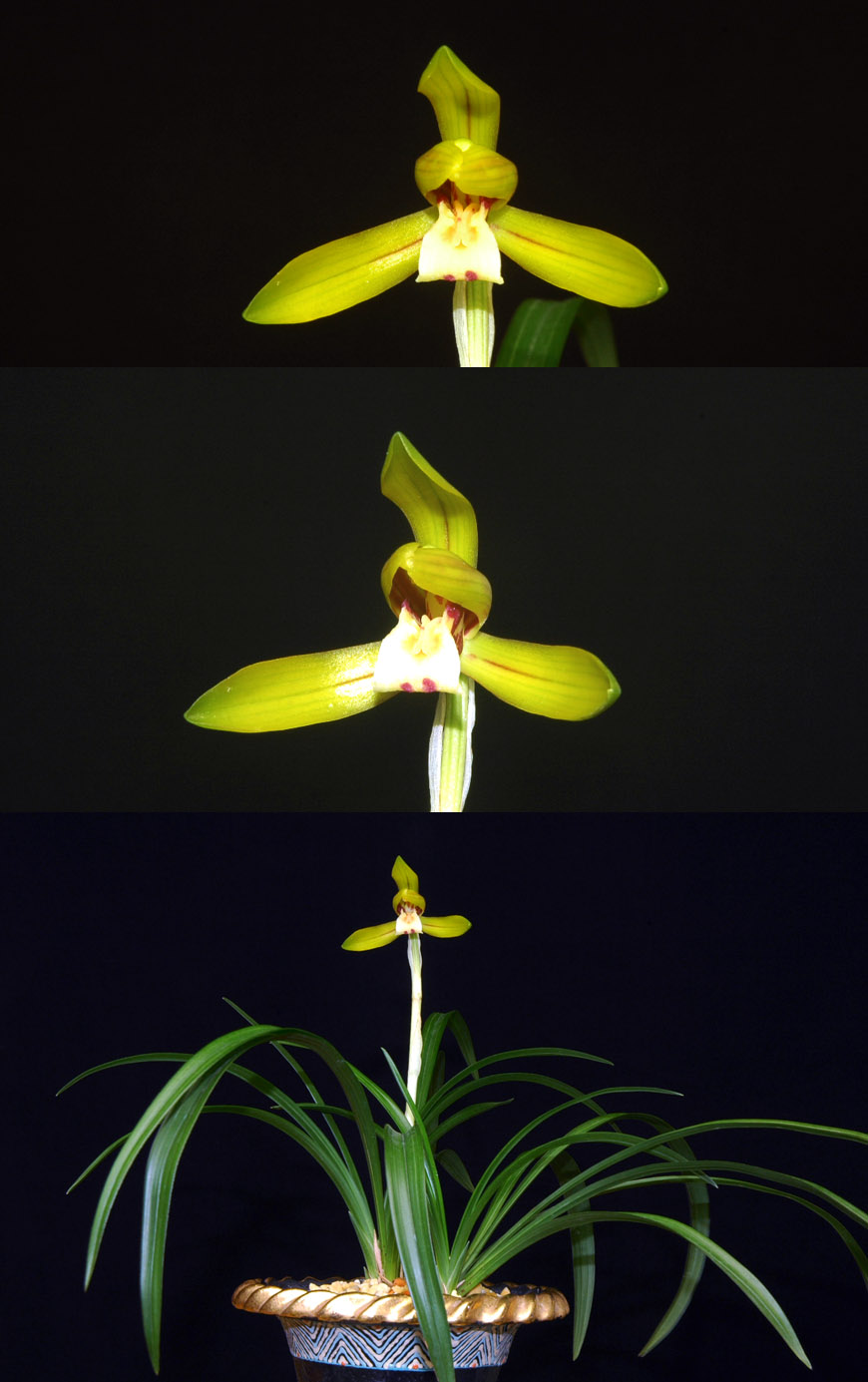 ������ ū������ �� �� �ֽ��ϴ�.