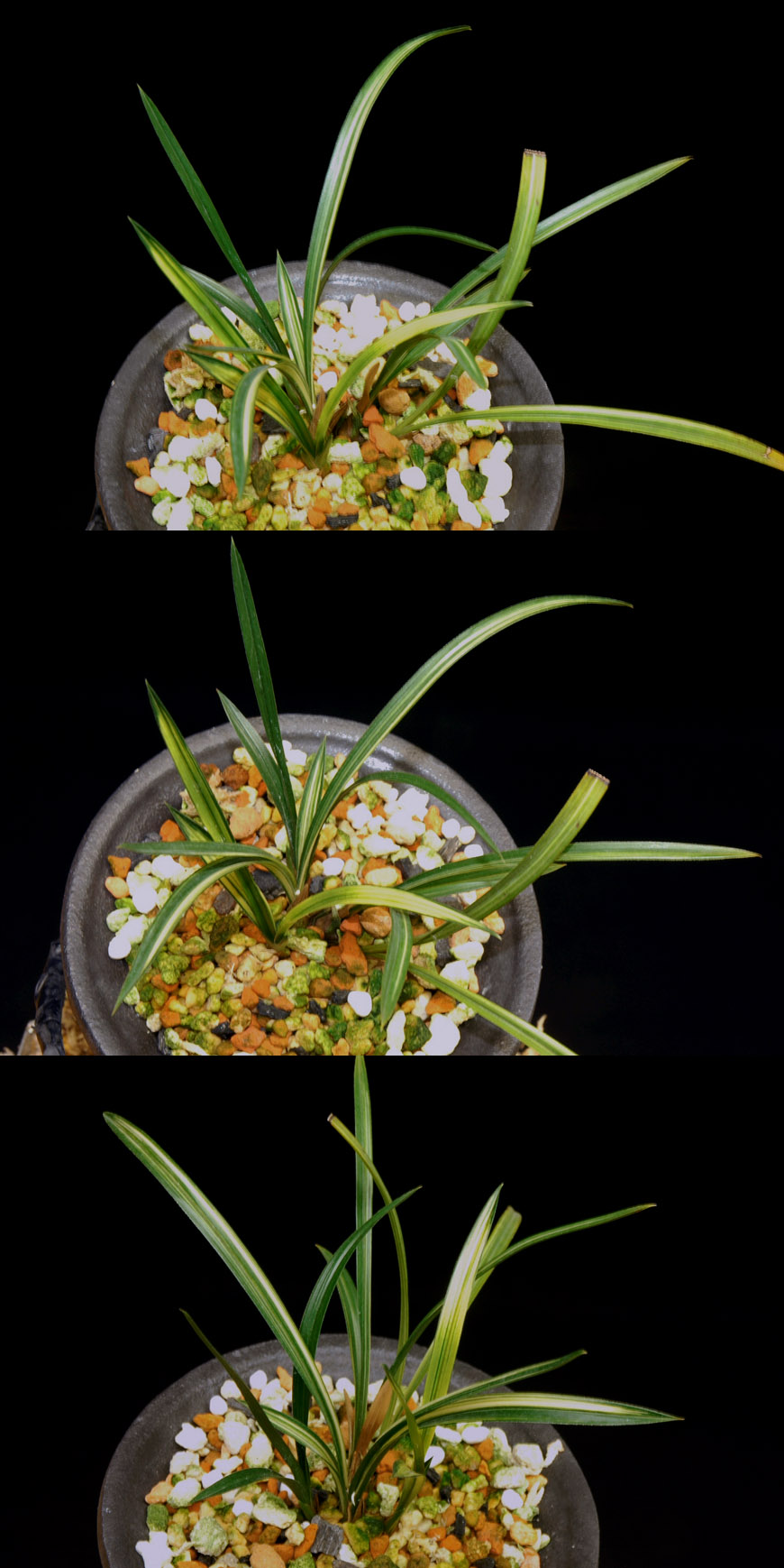 ������ ū������ �� �� �ֽ��ϴ�.