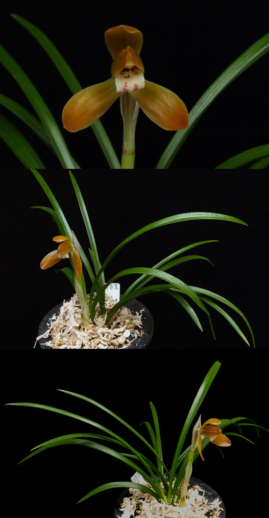 ������ ū������ �� �� �ֽ��ϴ�.