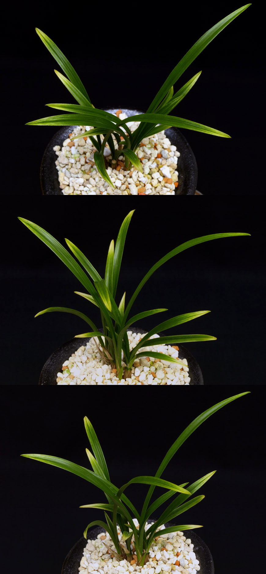 ������ ū������ �� �� �ֽ��ϴ�.