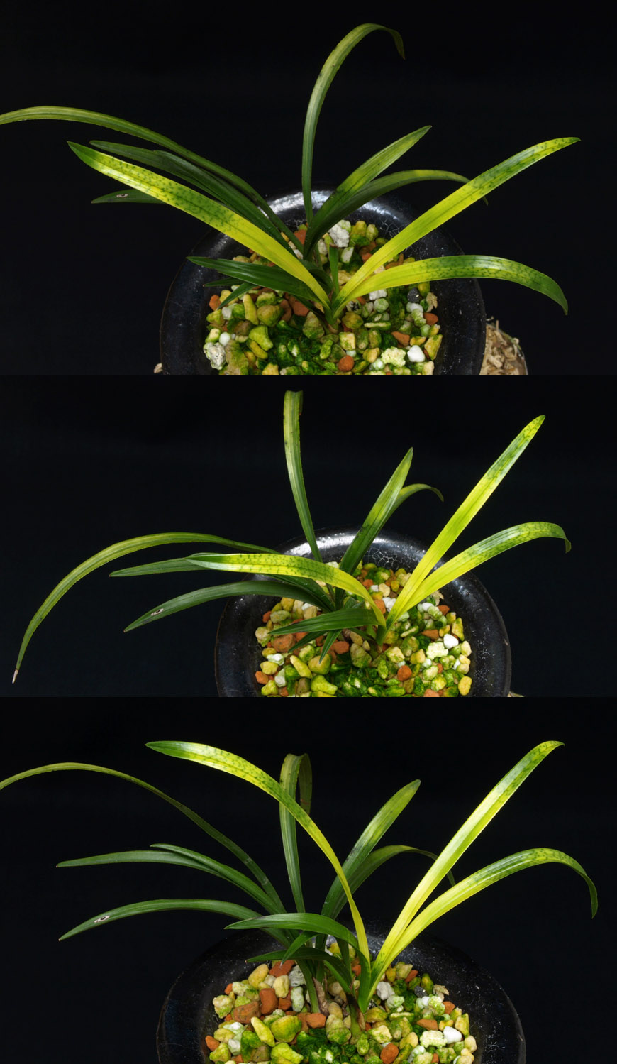 ������ ū������ �� �� �ֽ��ϴ�.