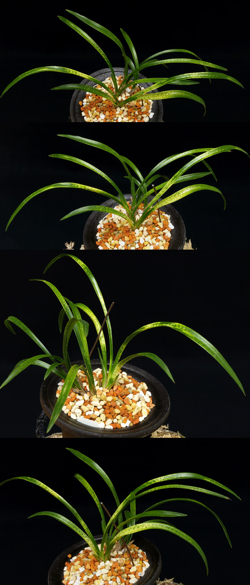 ������ ū������ �� �� �ֽ��ϴ�.