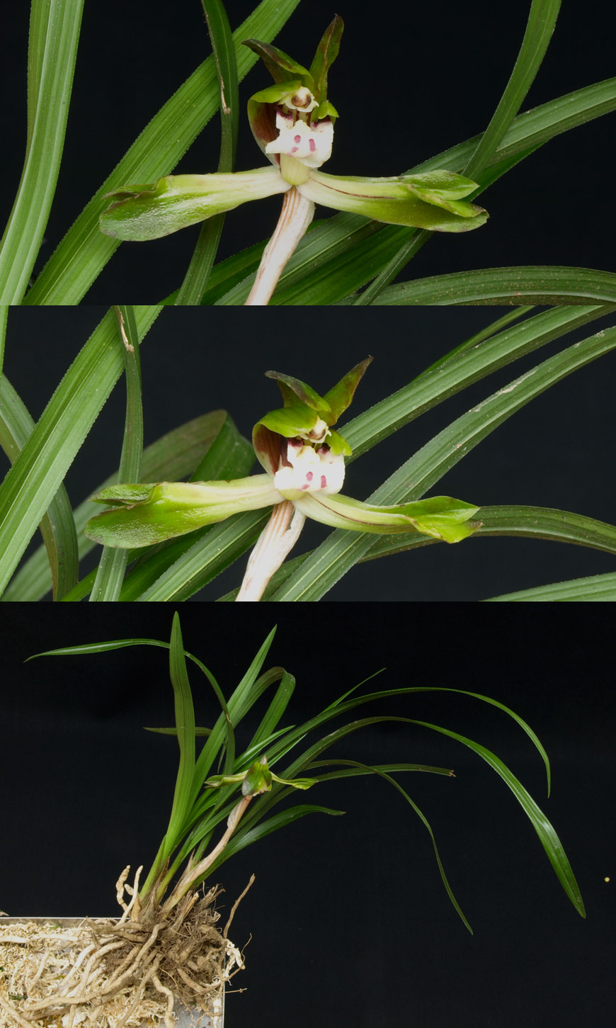 ������ ū������ �� �� �ֽ��ϴ�.