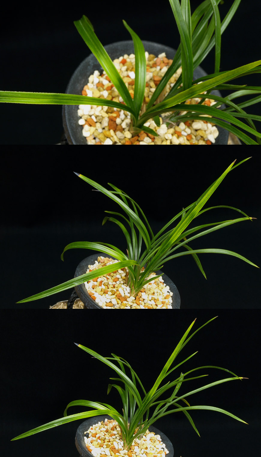 ������ ū������ �� �� �ֽ��ϴ�.