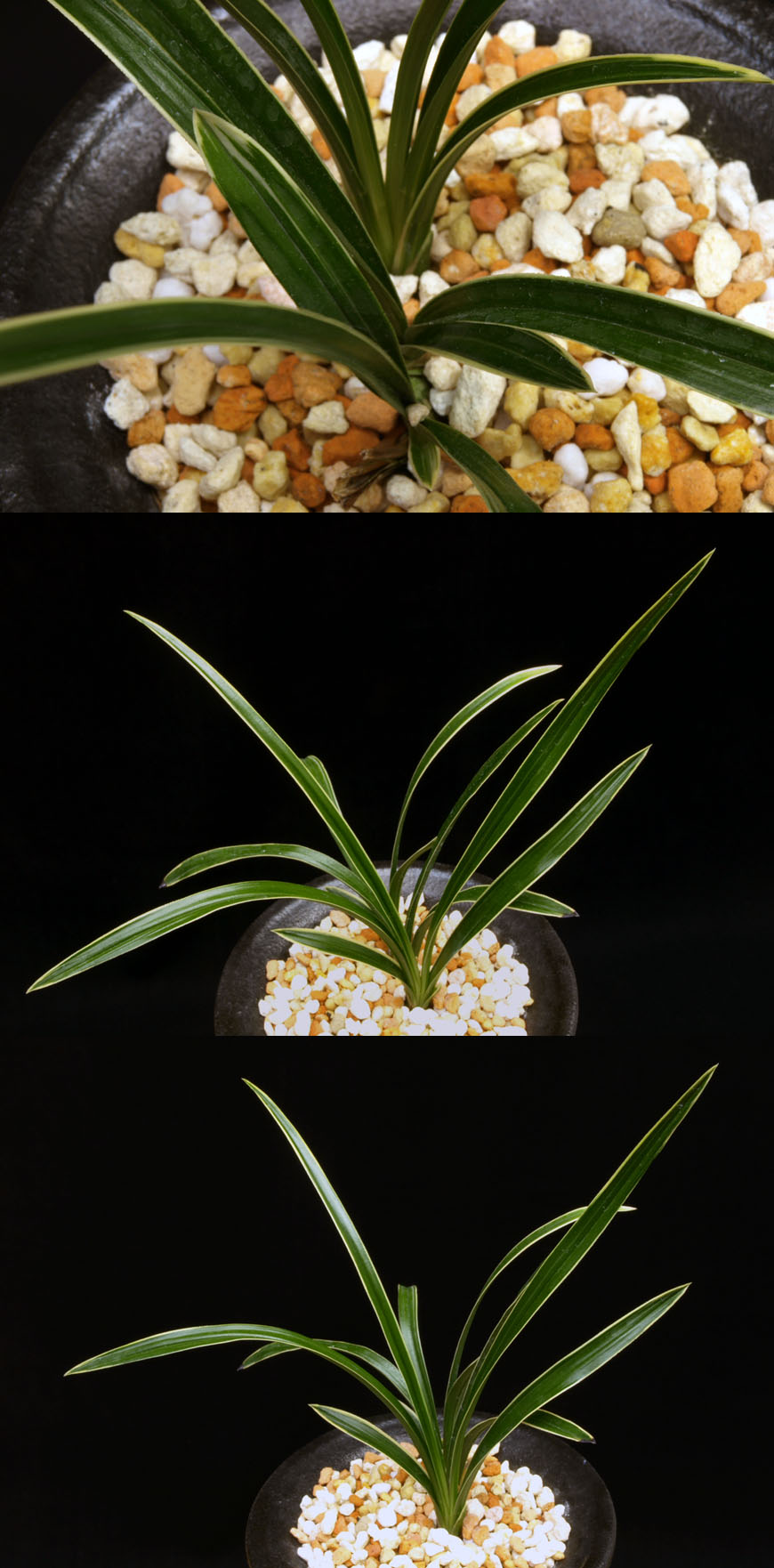 ������ ū������ �� �� �ֽ��ϴ�.