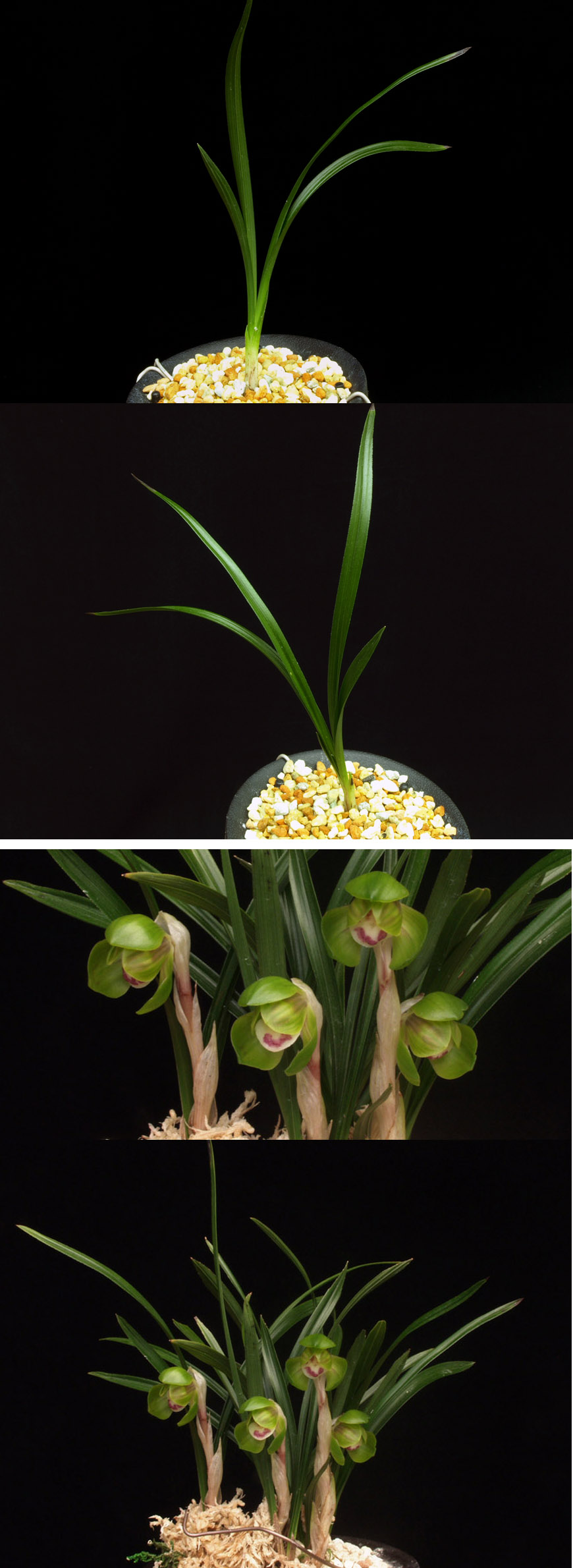 ������ ū������ �� �� �ֽ��ϴ�.