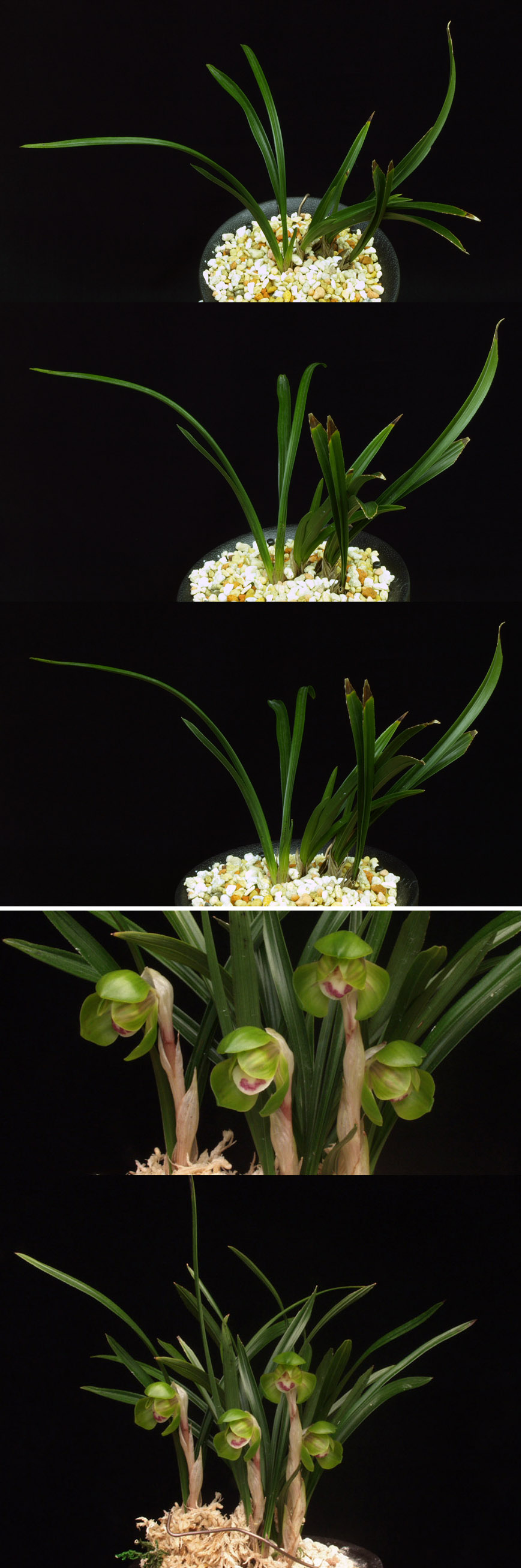 ������ ū������ �� �� �ֽ��ϴ�.