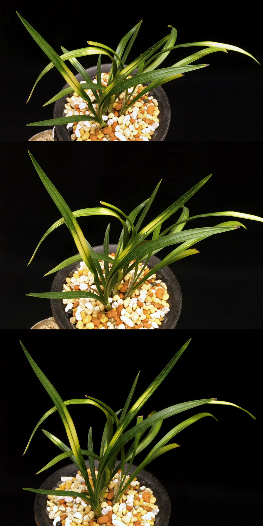 ������ ū������ �� �� �ֽ��ϴ�.