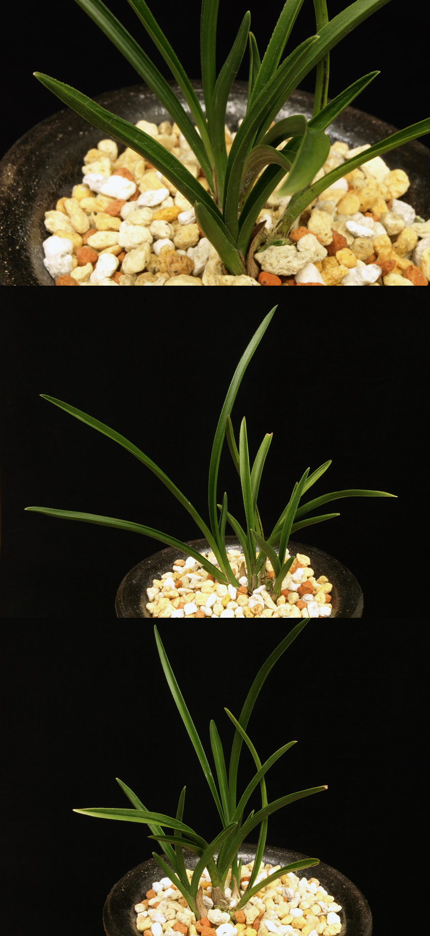 ������ ū������ �� �� �ֽ��ϴ�.