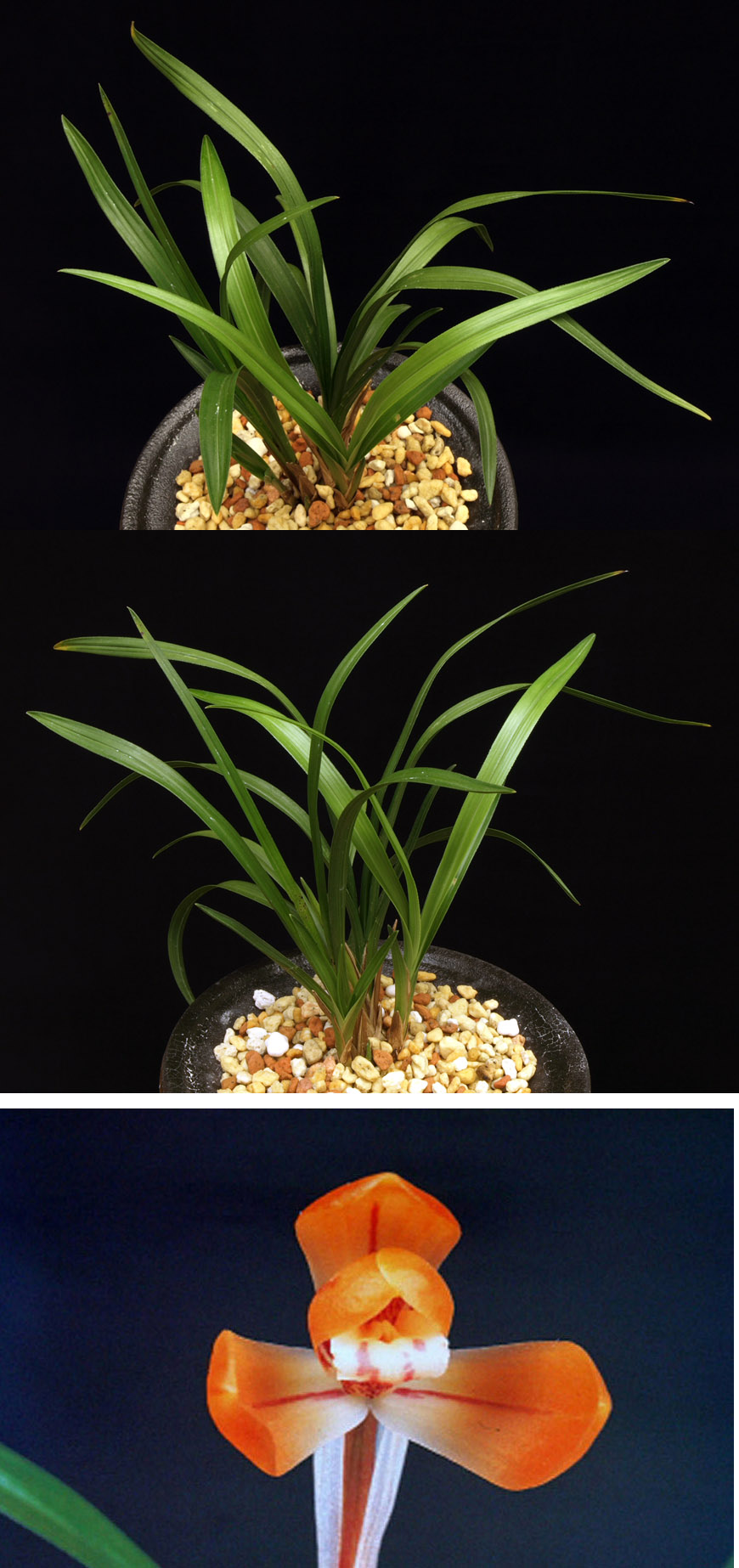 ������ ū������ �� �� �ֽ��ϴ�.