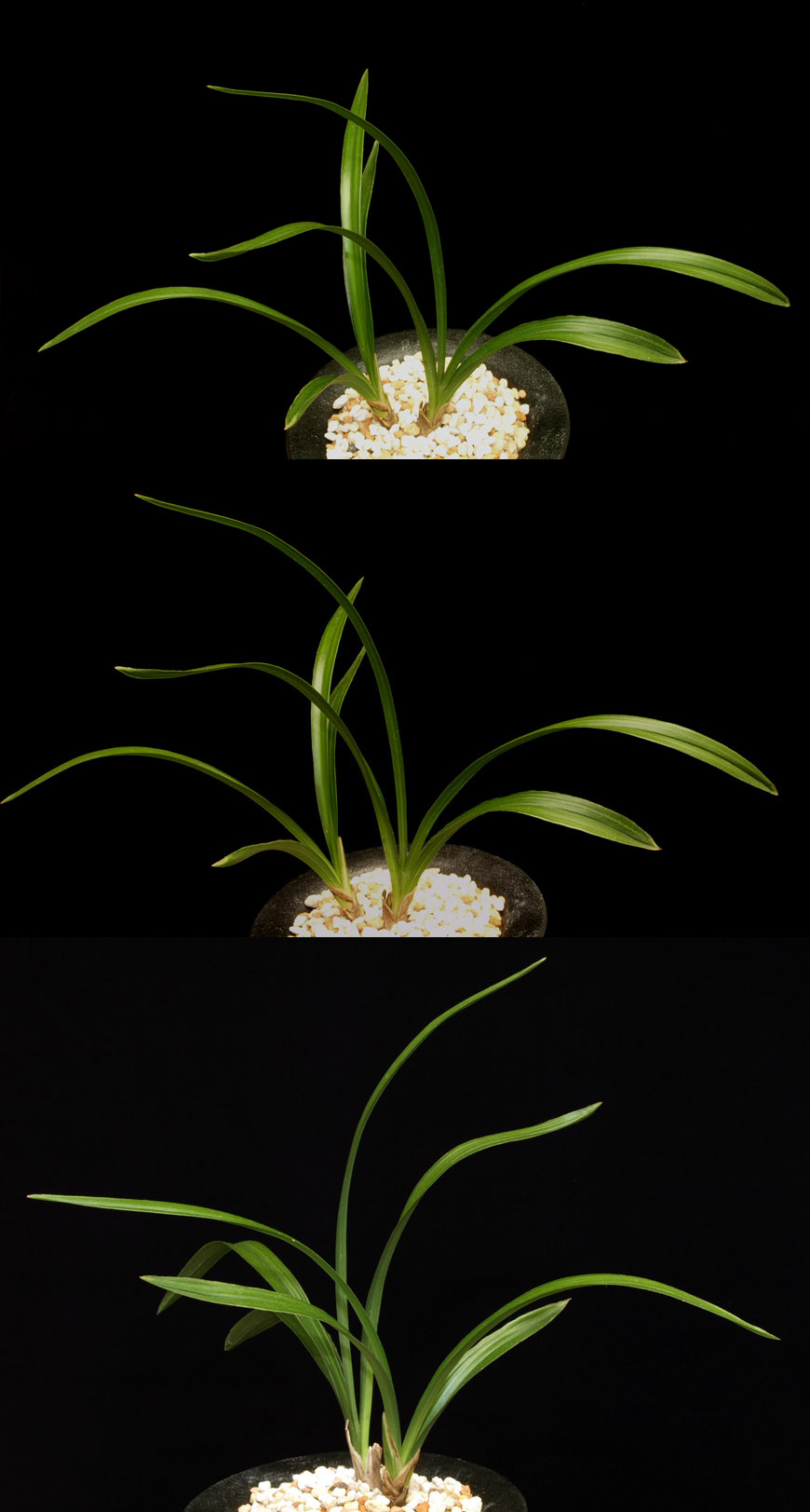 ������ ū������ �� �� �ֽ��ϴ�.