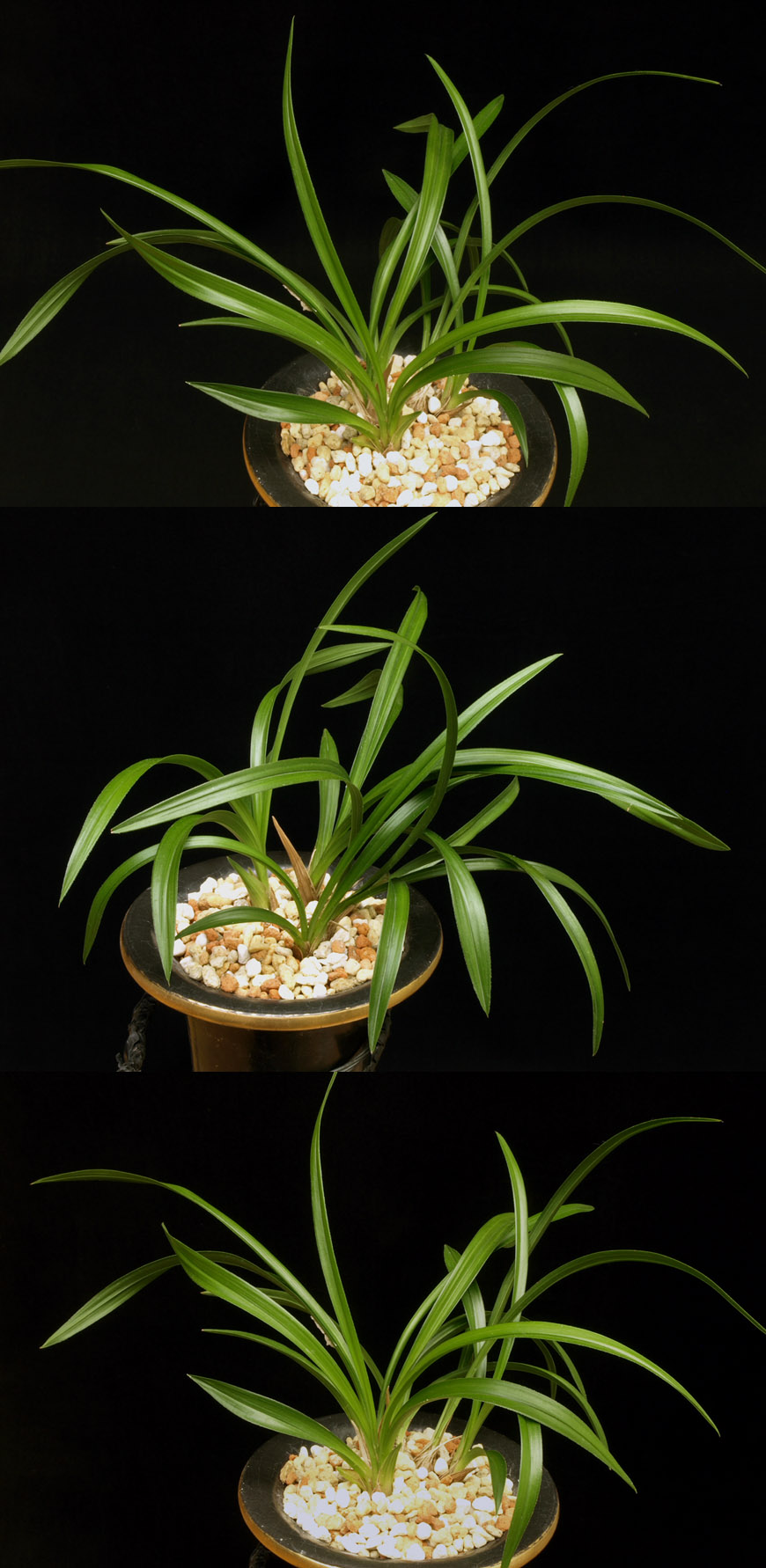 ������ ū������ �� �� �ֽ��ϴ�.