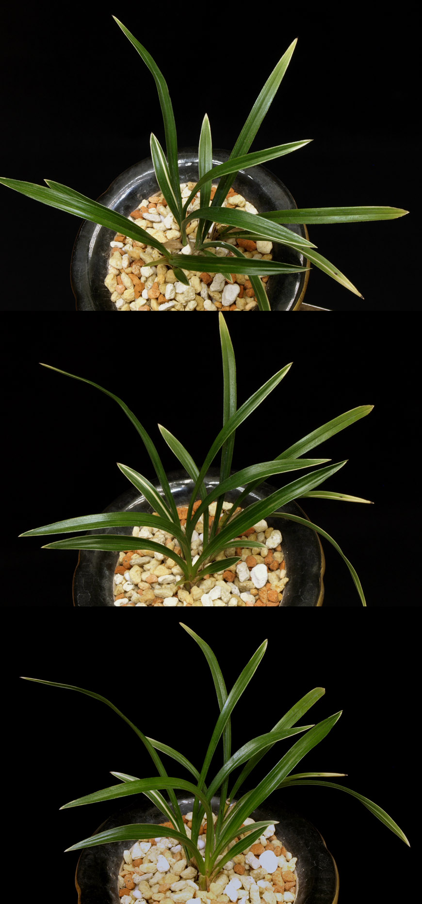 ������ ū������ �� �� �ֽ��ϴ�.